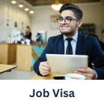 Al ameer corporate business services in dubai-pro-services-visa-offshore-mainland (11)