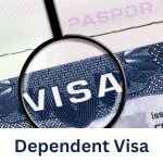 Al ameer corporate business services in dubai-pro-services-visa-offshore-mainland (15)