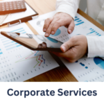 Al ameer corporate business services in dubai-pro-services-visa-offshore-mainland (3)