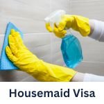 Al ameer corporate business services in dubai-pro-services-visa-offshore-mainland (5)