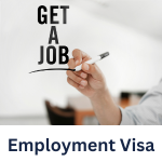 Al ameer corporate business services in dubai-pro-services-visa-offshore-mainland (9)