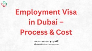 Employment Visa in Dubai – Process & Cost