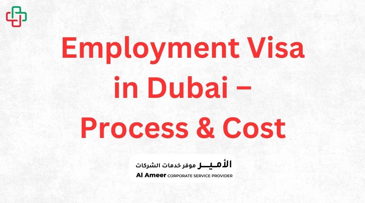 Employment Visa in Dubai – Process & Cost